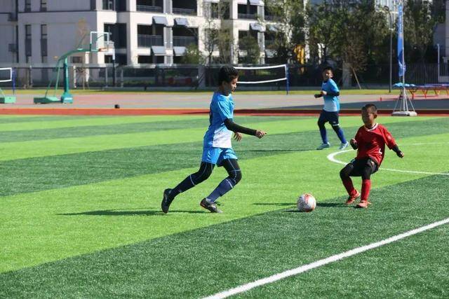 CBA季后赛：辽宁队主场不敌山东队 总比分1比1战平